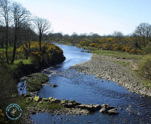 River in Kirkcudbrightshire 8R26D-05.JPG